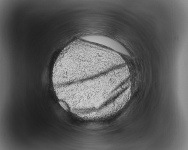 X0000087570303200705251826