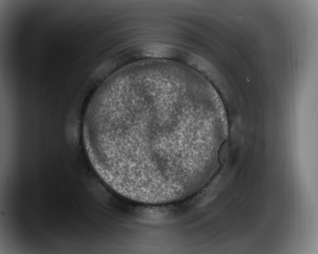 X0000087570305200705251826