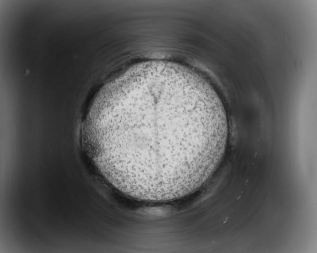 X0000087570307200705251826