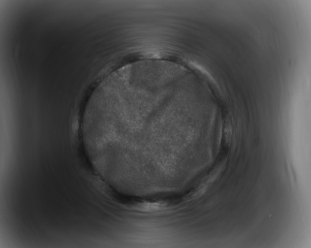 X0000087570314200705251826