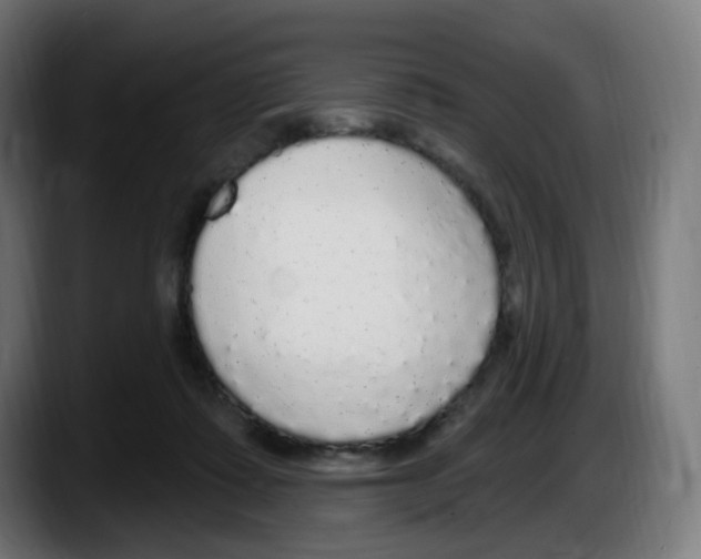 X0000087570315200705251826