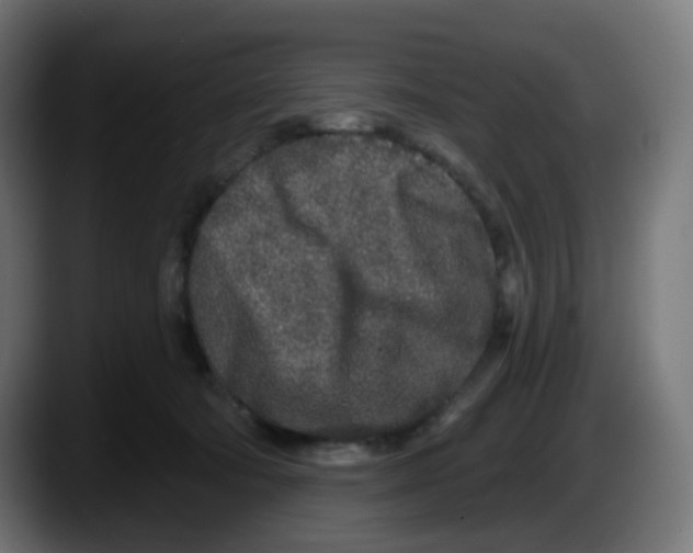 X0000087570322200705251826