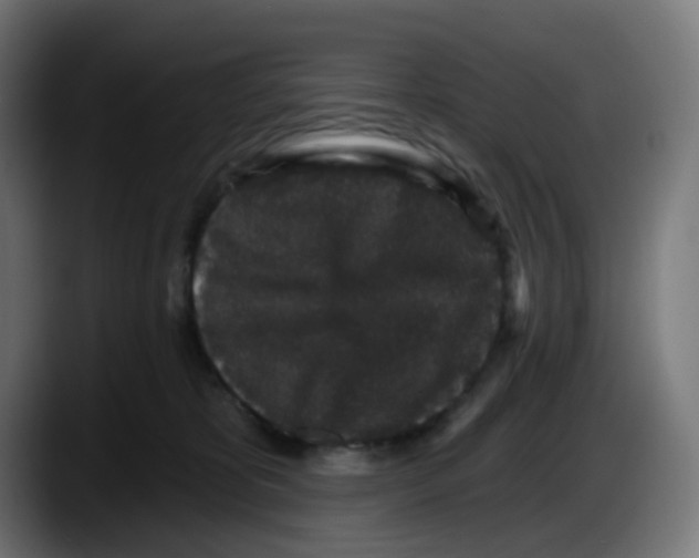 X0000087570325200705251825