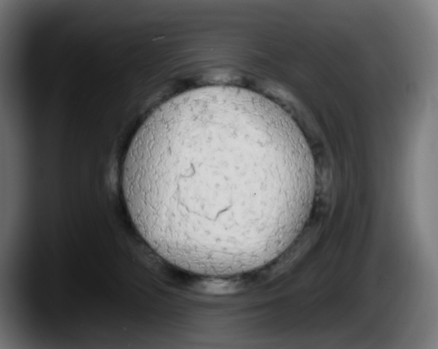 X0000087570326200705251825