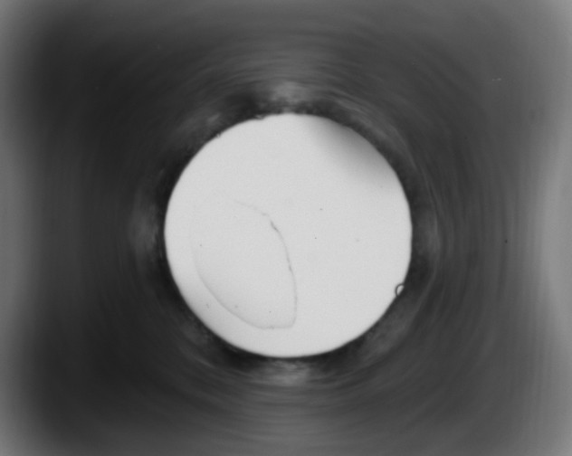 X0000087570328200705251825