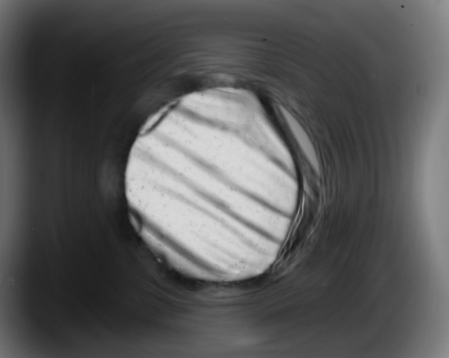 X0000087570331200705251825