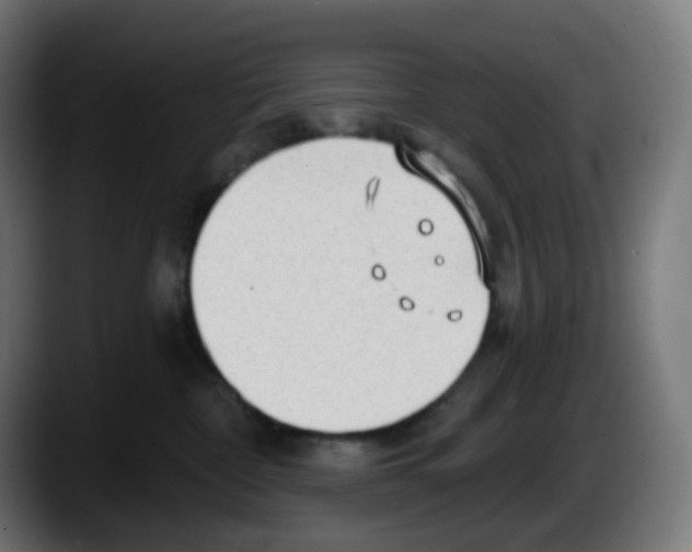 X0000087570332200705251825