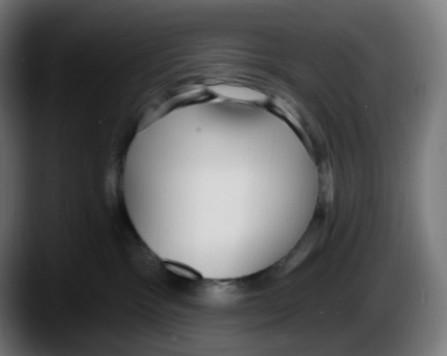 X0000087570333200705251825