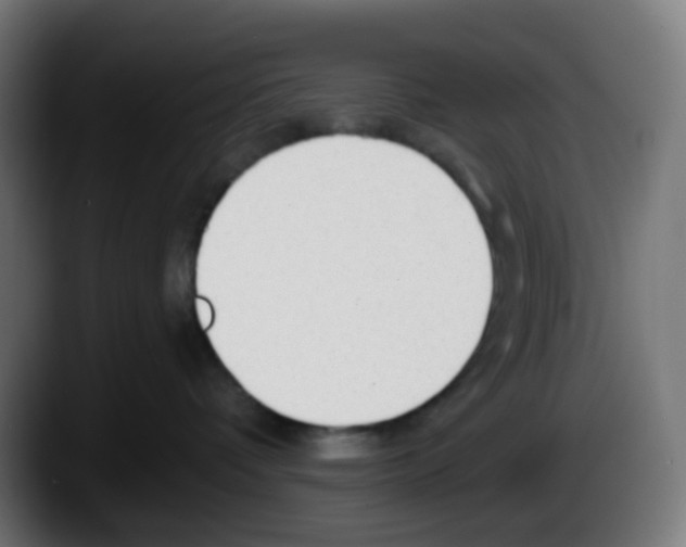 X0000087570336200705251825