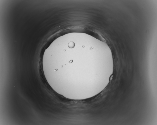 X0000087570338200705251825