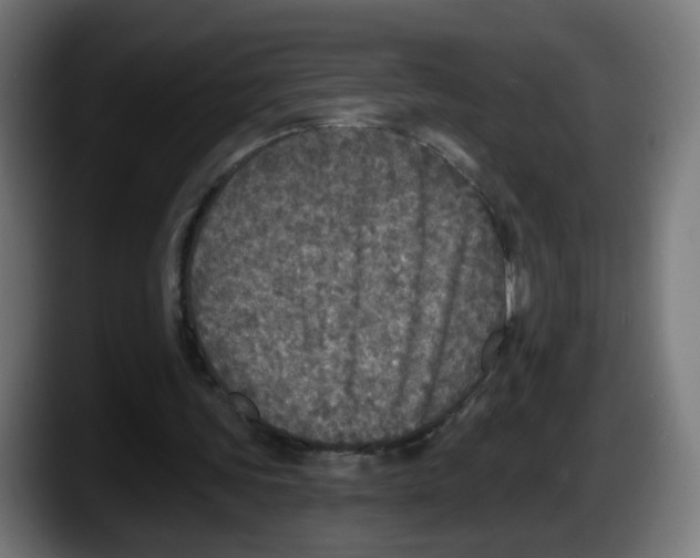 X0000087570339200705251825