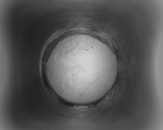 X0000087570340200705251825