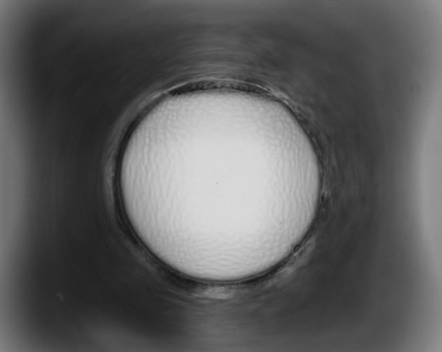 X0000087570341200705251825