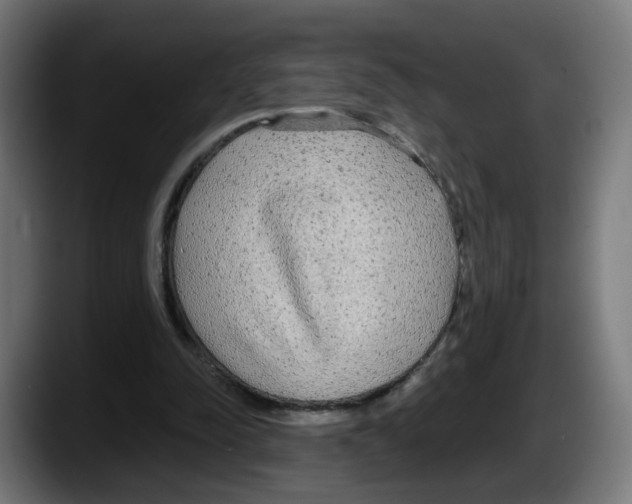 X0000087570342200705251825