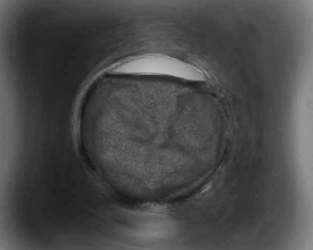 X0000087570343200705251825