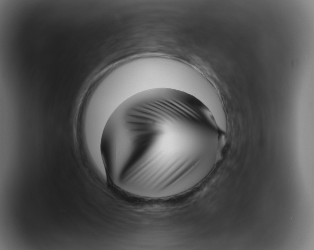 X0000087570344200705251825