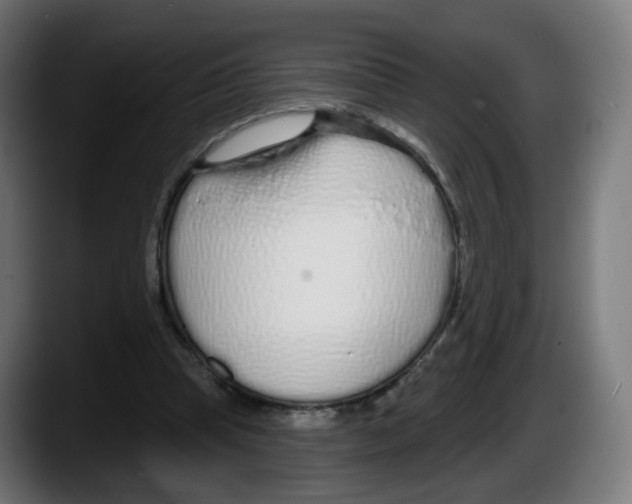 X0000087570345200705251825