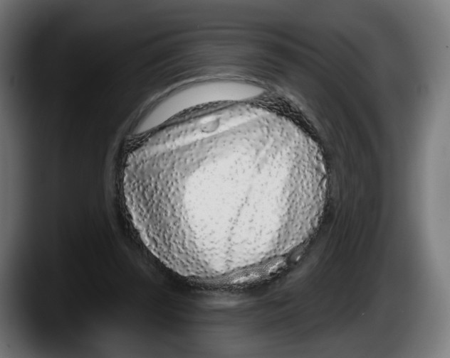 X0000087570347200705251825