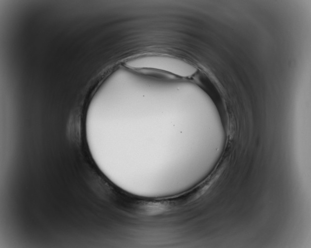 X0000087570349200705251825