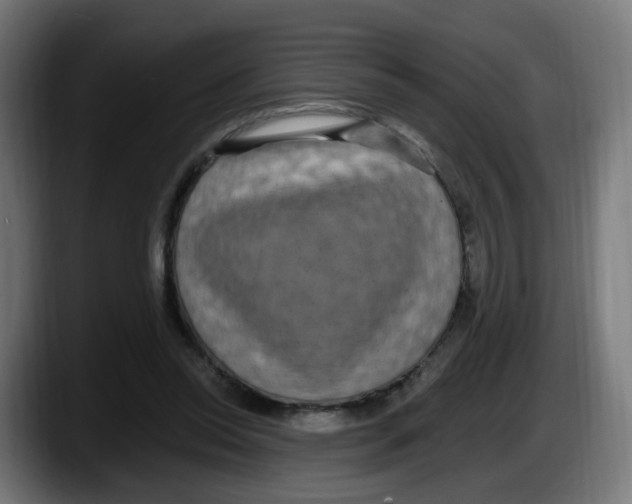 X0000087570350200705251825