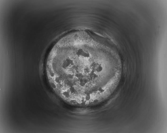 X0000087570351200705251825