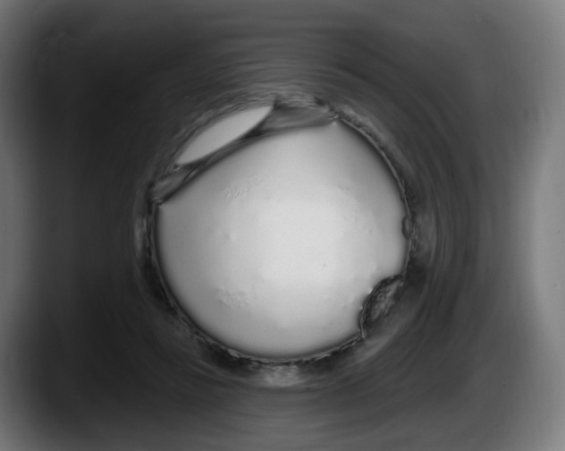 X0000087570355200705251825