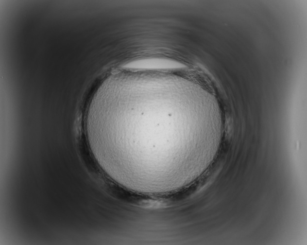 X0000087570356200705251825