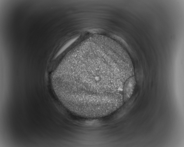 X0000087570357200705251825