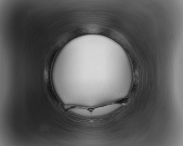 X0000087570358200705251825