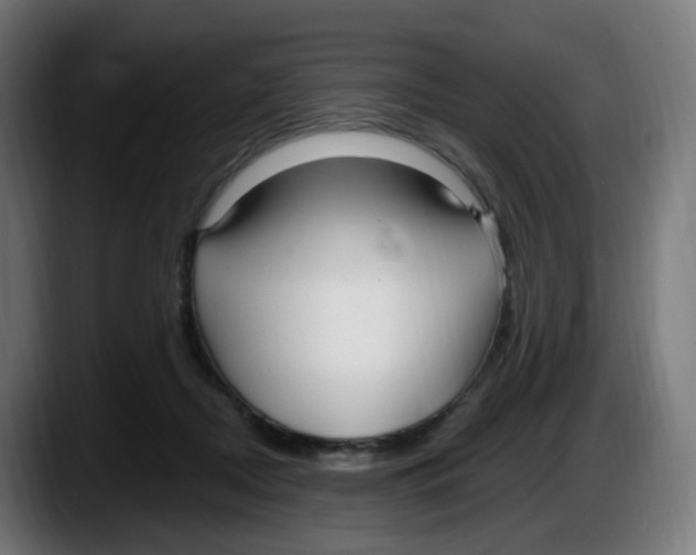 X0000087570362200705251825