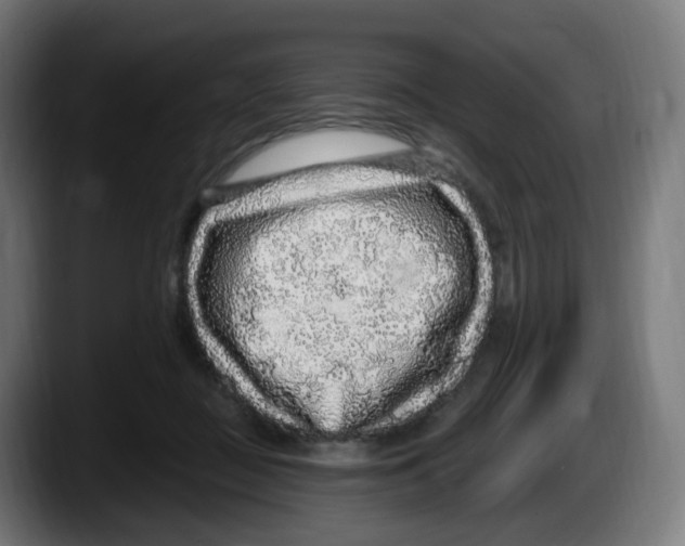 X0000087570363200705251825