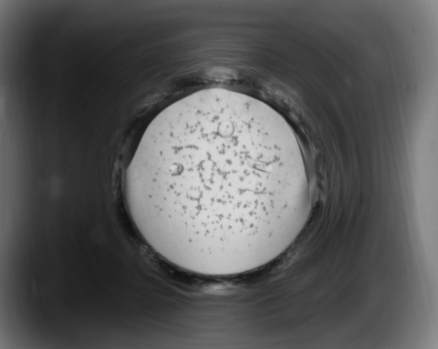 X0000087570364200705251825