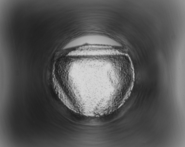 X0000087570365200705251825