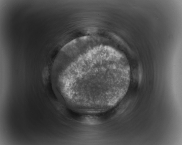 X0000087570372200705251825