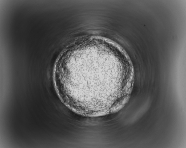 X0000087570373200705251825