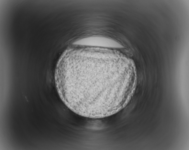 X0000087570374200705251825