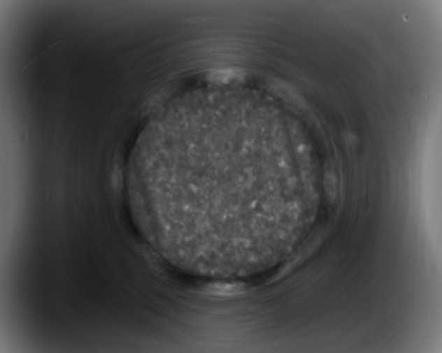 X0000087570375200705251825