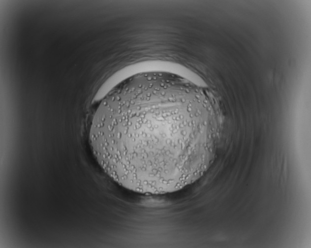 X0000087570380200705251825