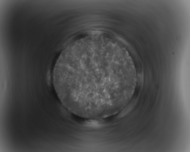 X0000087570381200705251825