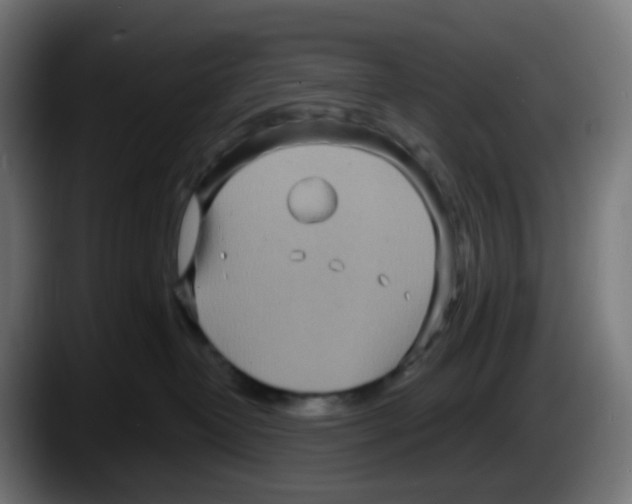 X0000087570382200705251825