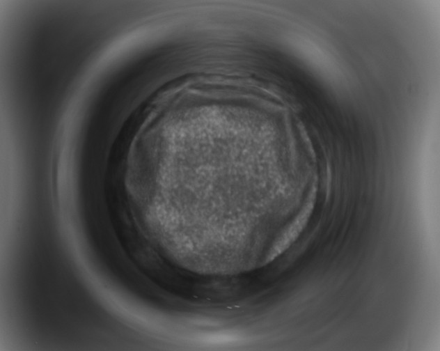 X0000087570383200705251825