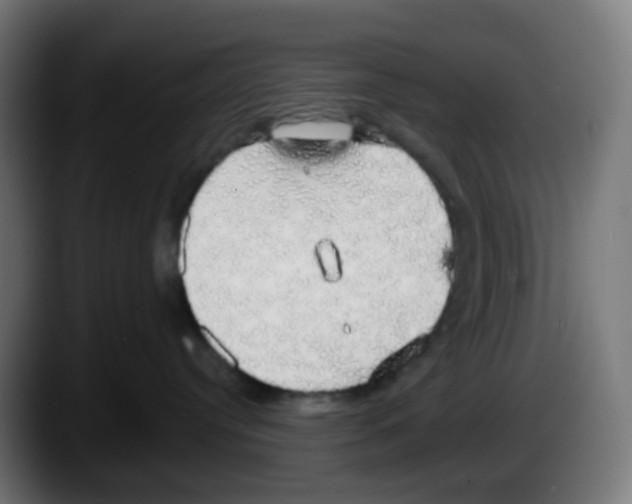 X0000087570384200705251825