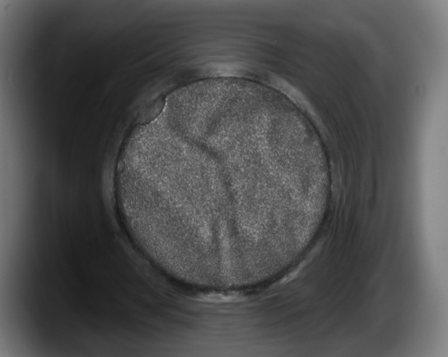 X0000087570386200705251825