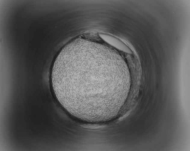 X0000087570389200705251825