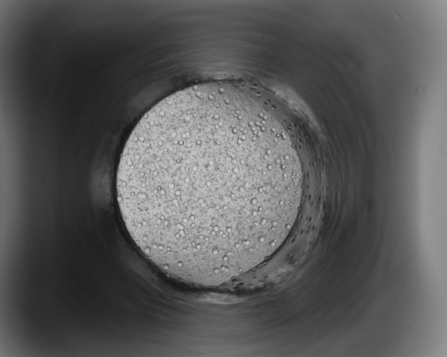 X0000087570393200705251825