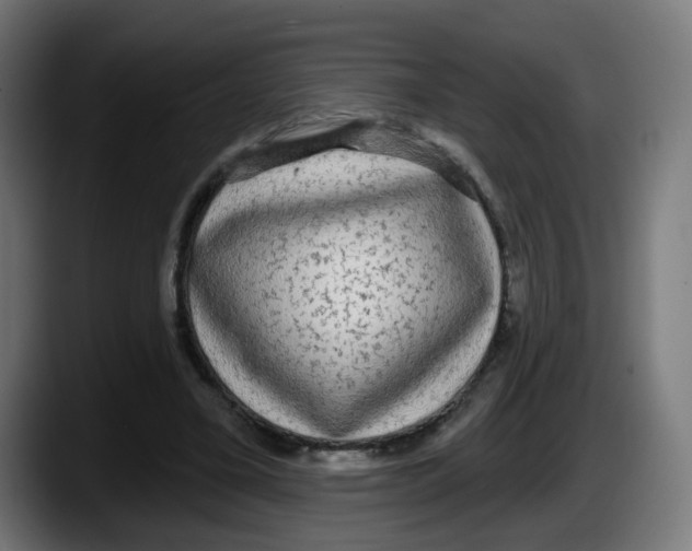 X0000087570395200705251825