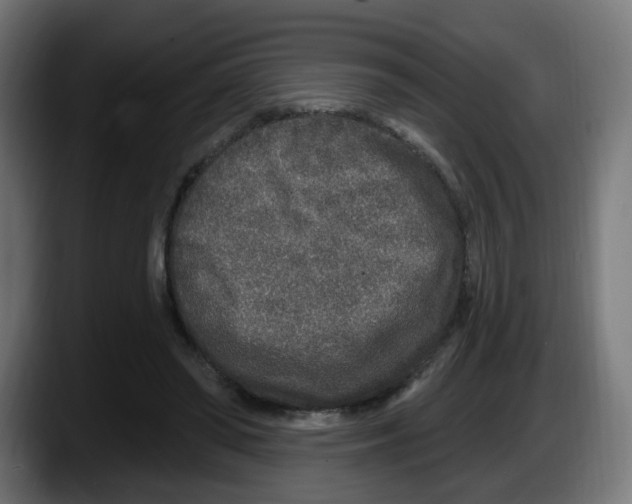 X0000087570398200705251825