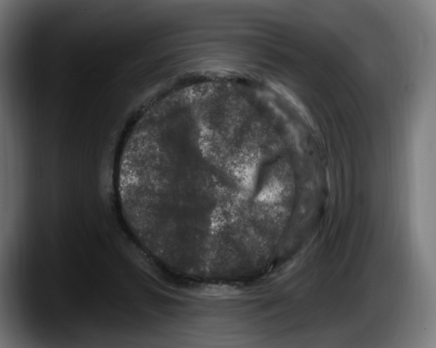 X0000087570399200705251825