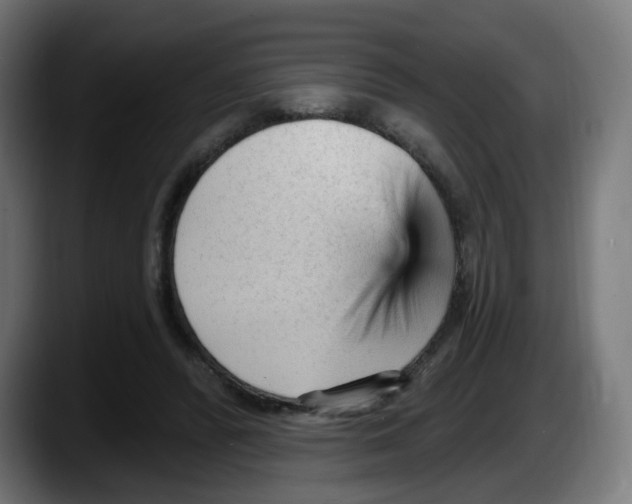 X0000087570400200705251824