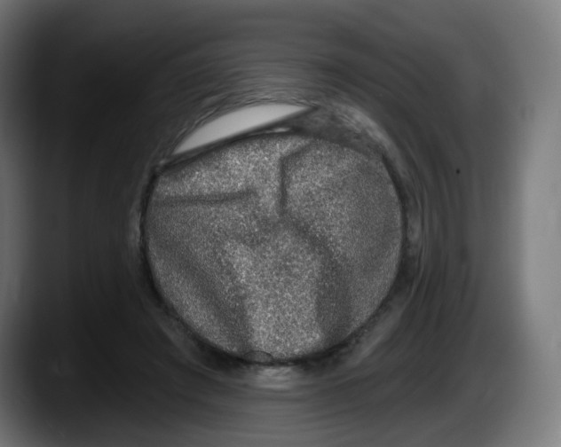 X0000087570401200705251824